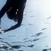 Dead_in_the_Water-006.jpg