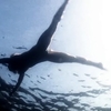 Dead_in_the_Water-008.jpg