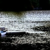Dead_in_the_Water-010.jpg