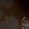 MysterySpot-058.jpg