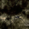 Filename=No_rest-for_the_wicked-776.jpg
Filesize=47KiB
Dimensions=624x352
Date added=Jul 28, 2009 No_rest-for_the_wicked-776.jpg
