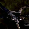 Filename=No_rest-for_the_wicked-778.jpg
Filesize=28KiB
Dimensions=624x352
Date added=Jul 28, 2009 No_rest-for_the_wicked-778.jpg