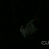 Filename=Swan_song_995.jpg
Filesize=33KiB
Dimensions=1280x720
Date added=May 16, 2010 Swan_song_995.jpg