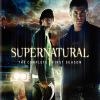 Supernatural_BlueR_Season_1_Cover.JPG