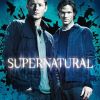 SPN-SE5-DVD-001.jpg